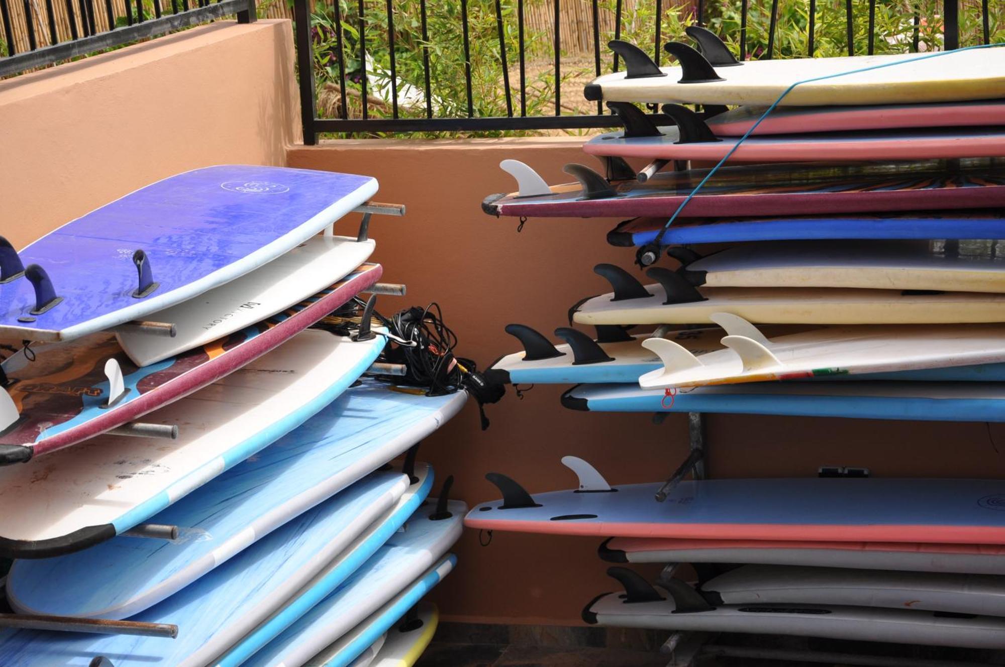 Harmony Surf